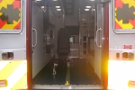 Sanford-ME-434417SD-62