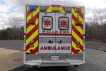 Wells-ME-RMT24-3930-8